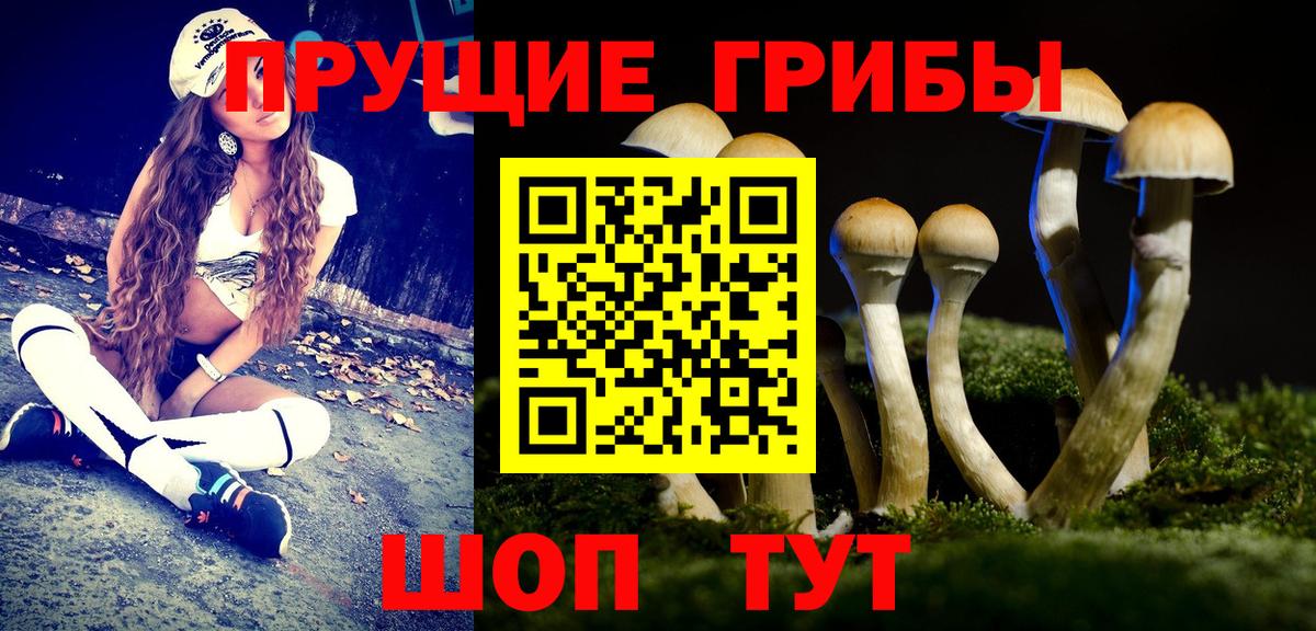 Псилоцибиновые грибы прущие грибы Красный Сулин