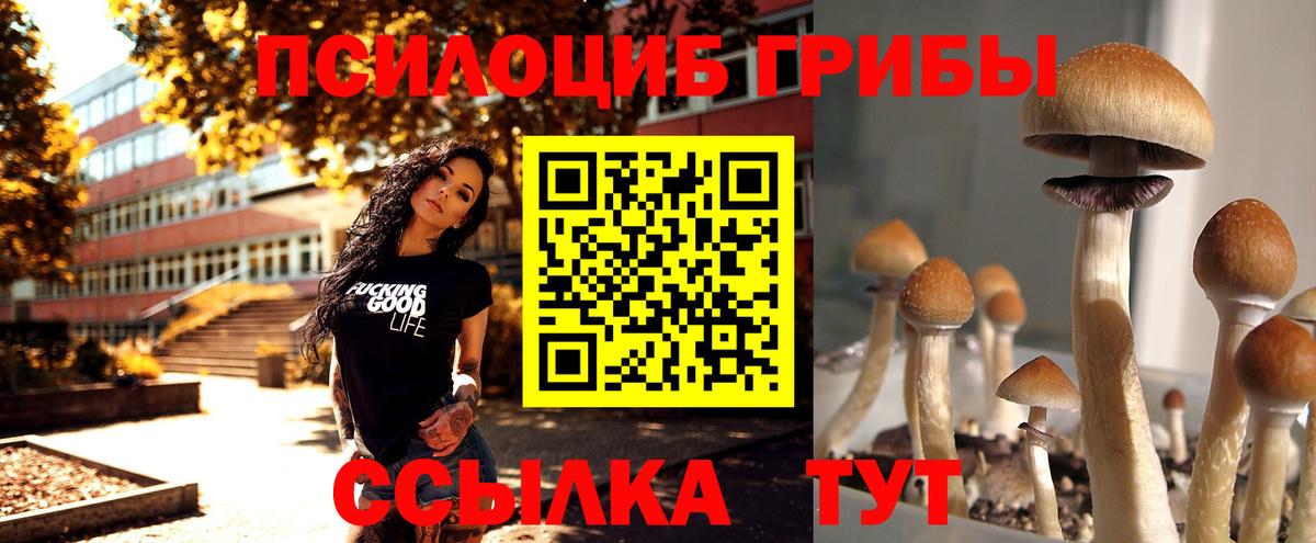 Галлюциногенные грибы мицелий  Вход с VPN  Красный Сулин 